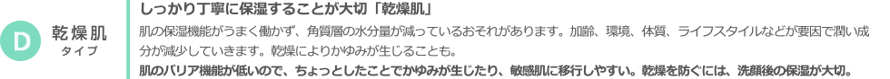 乾燥肌タイプ