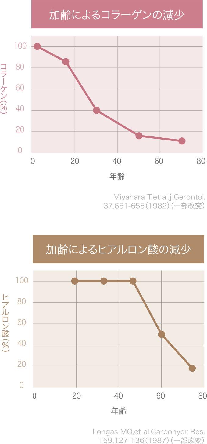 加齢とともにコラーゲンやヒアルロン酸は減少。見た目の印象を大きく左右します。早いタイミングでケアすることが大切です。